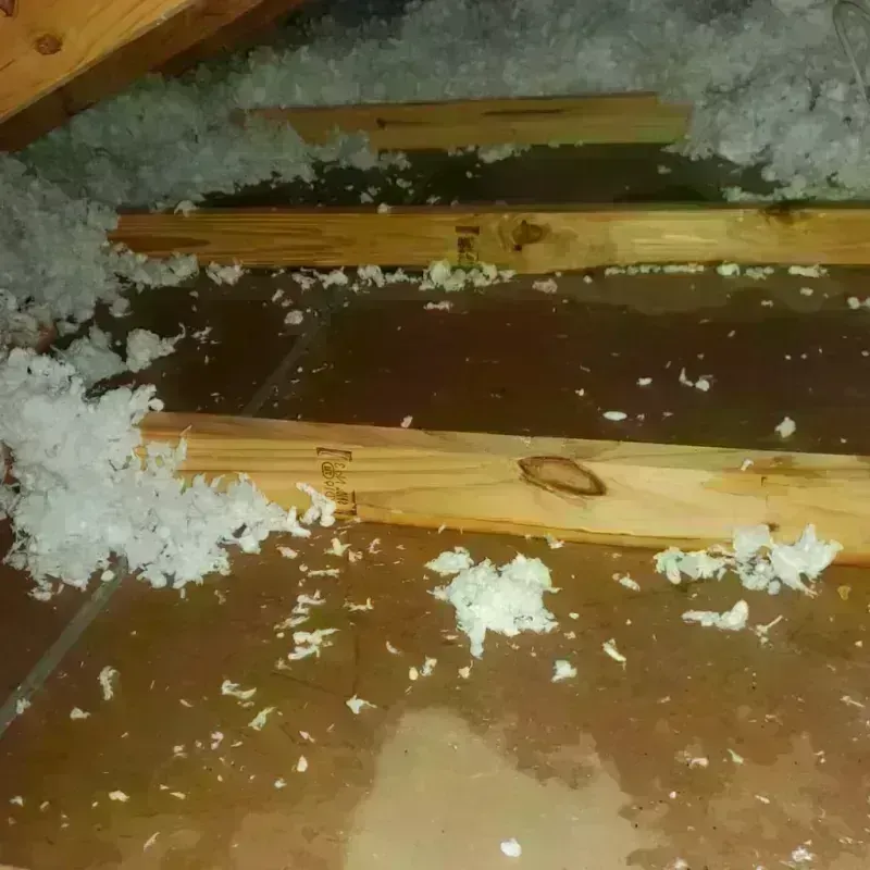 Attic Water Damage in Hidden Valley Lake, CA