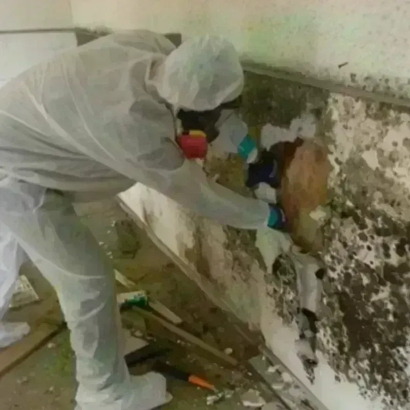 Mold Remediation and Removal in Hidden Valley Lake, CA