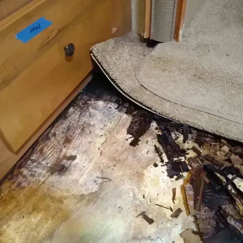 Wood Floor Water Damage in Hidden Valley Lake, CA